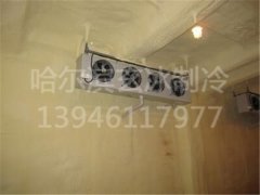 早期撫遠(yuǎn)縣